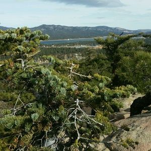 Meet your Posher, Ian